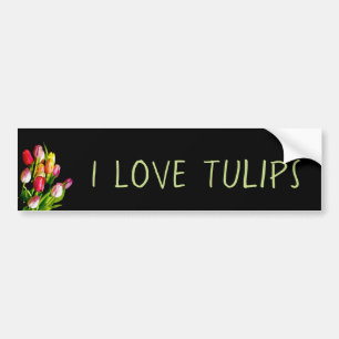 Adesivo Para Carro Pintura em Tulip - Arte Flor Original