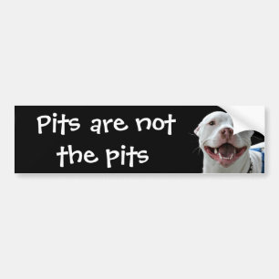 Adesivo Para Carro Pitbull