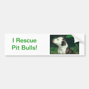 Adesivo Para Carro Pitbull