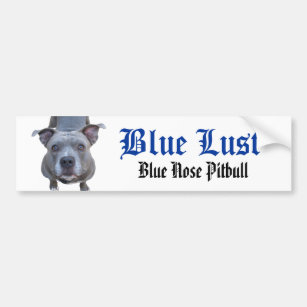 Adesivo Para Carro Pitbull Blue Nose Pitbull Bumper Sticker