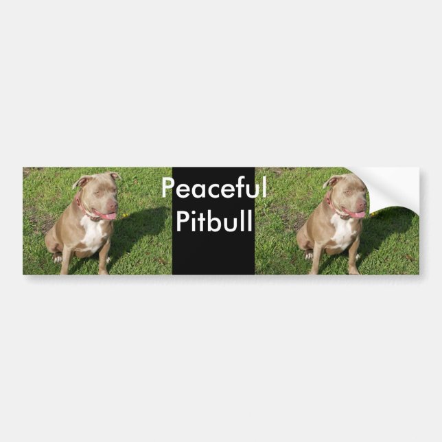 Adesivo Para Carro Pitbull calmo (Frente)