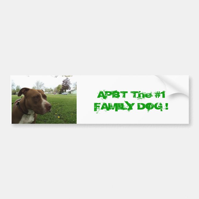 Adesivo Para Carro Pitbull Terrier americano (Frente)