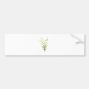 Adesivo Para Carro Plantas aromáticas