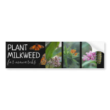 Plante Milkweed Para Fotos Personalizadas De Monar