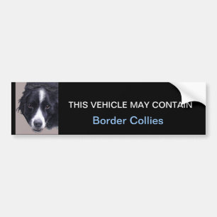 Adesivo Para Carro pode conter Collies de beira