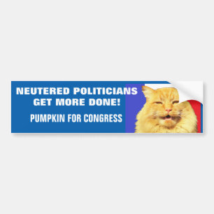 Adesivo Para Carro Políticos Neutros Fazem Mais - Memória Cat