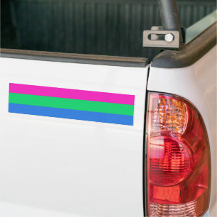 Adesivo Para Carro Poly Pride