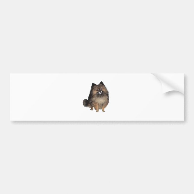 Adesivo Para Carro Pomerânia - brindle (Frente)