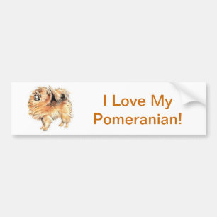 Adesivo Para Carro Pomeranian