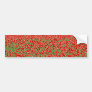 Adesivo Para Carro Poppies - milhares!