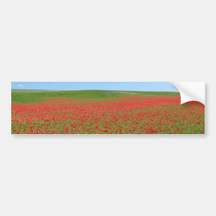 Adesivo Para Carro Poppies vivos!