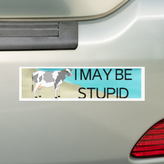Adesivo Para Carro Posso Ser Estúpido | Autocolante | Memory Sticker