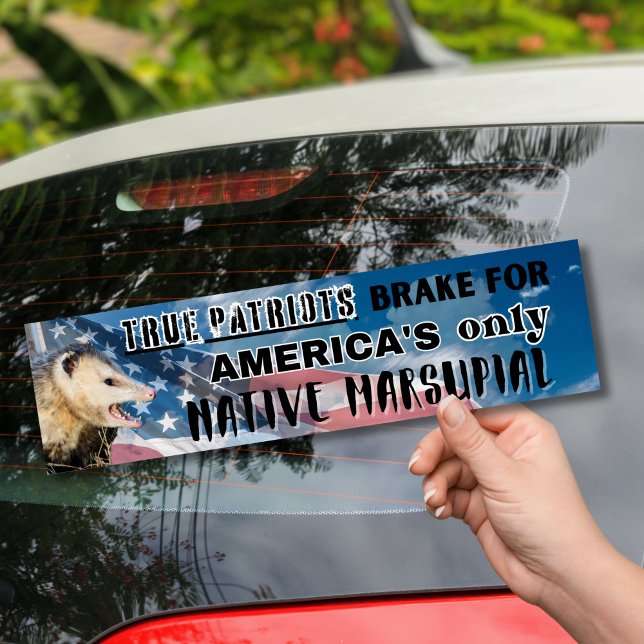 Adesivo Para Carro Possum Sticker - O único marsupial nativo da Améri (Criador carregado)