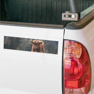 Adesivo Para Carro Prados de outono de vitelo das vacas de montanha