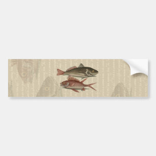 Adesivo Para Carro presente de pescador marroquino