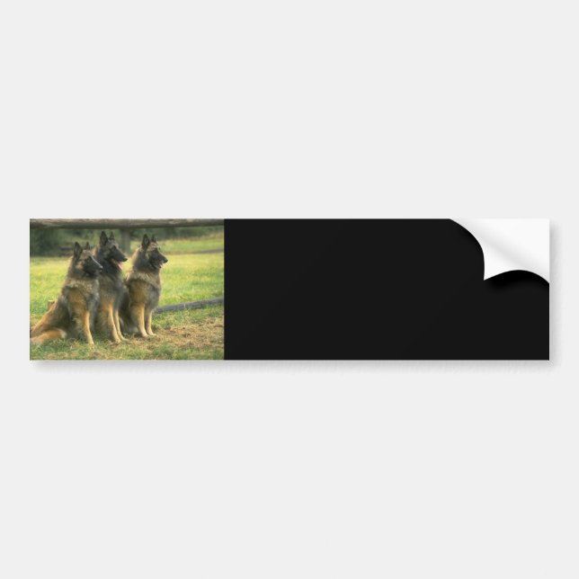 Adesivo Para Carro Presentes do german shepherd (Frente)