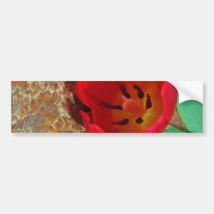 Adesivo Para Carro Primavera amarelo e Red Tulip