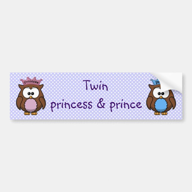 Adesivo Para Carro princesa & príncipe gêmeos da coruja (Frente)