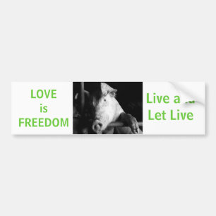 Adesivo Para Carro Proteção dos animais - Piggy Vegan Car Bumper Stic