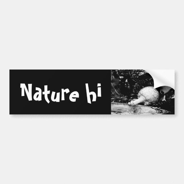 Adesivo Para Carro protetor escuro (Frente)