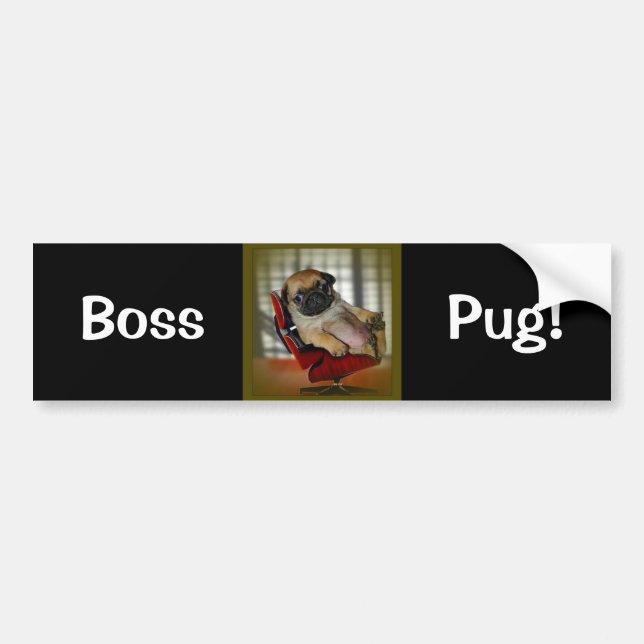 Adesivo Para Carro Pug do chefe! (Frente)