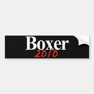 Adesivo Para Carro Pugilista 2010