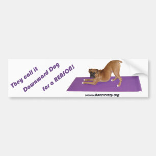 Adesivo Para Carro Pugilista Bumpersticker louco - ioga