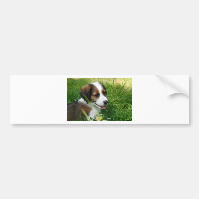 Adesivo Para Carro Puppy (Frente)