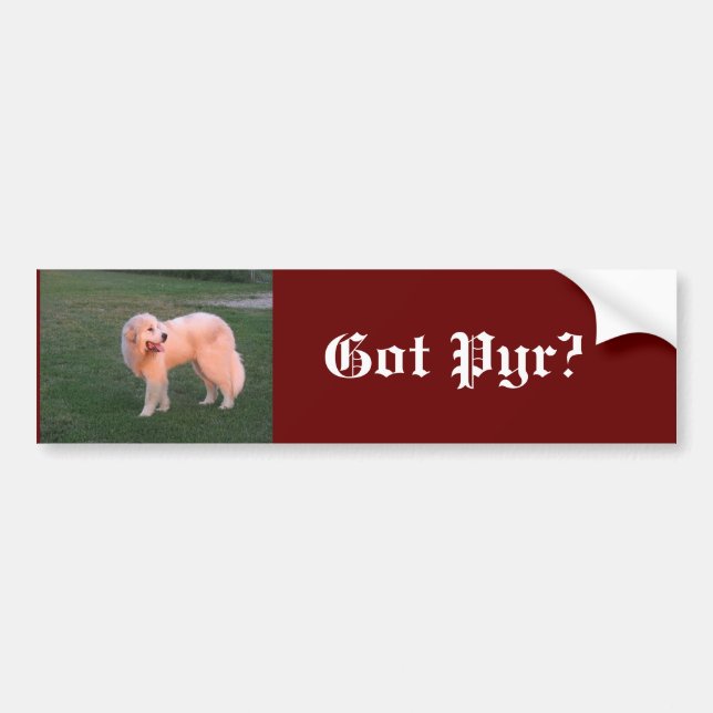 Adesivo Para Carro Pyr obtido (Frente)