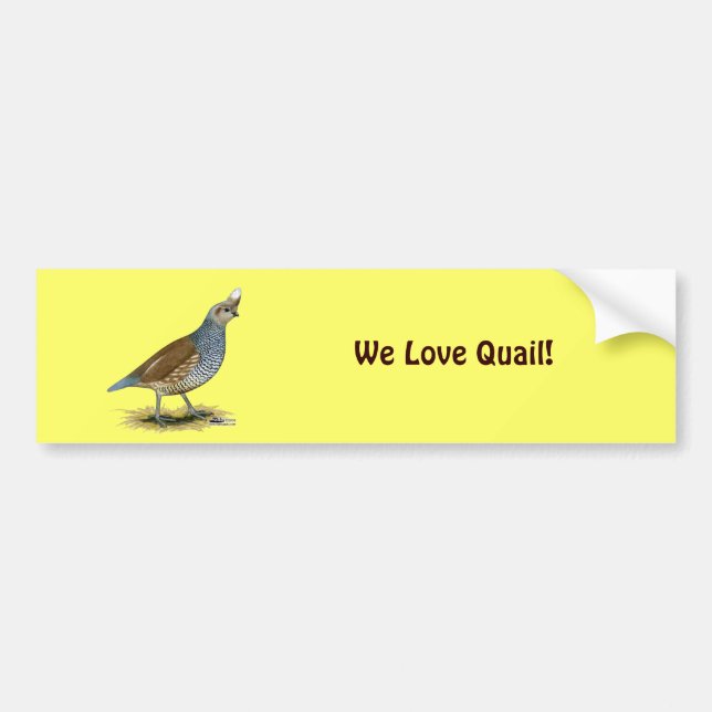 Adesivo Para Carro Quail escalável (Frente)