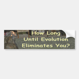 Adesivo Para Carro quanto tempo até a evolução o elimina?