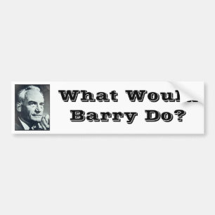Adesivo Para Carro Que Barry faria?