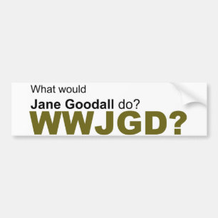 Adesivo Para Carro Que Jane Goodall faria?