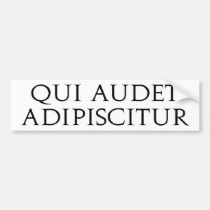 Adesivo Para Carro Qui Audet Adipiscitur