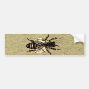 Adesivo Para Carro Rainha Bee