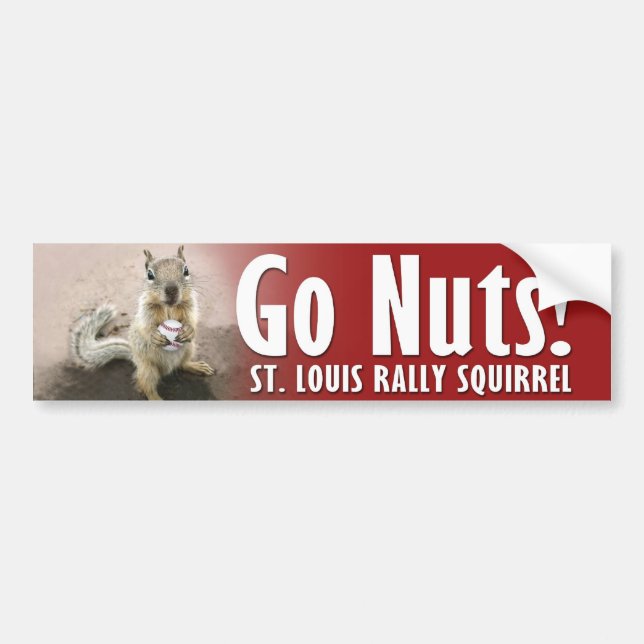 Adesivo Para Carro Rally Squirrel - Encontre-me na Rua Louis (Frente)