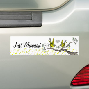 Adesivo Para Carro recem casados Vintage Birds BumperSticker