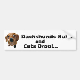 Adesivo Para Carro Regra dos Dachshunds! e Drool dos gatos…