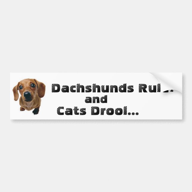 Adesivo Para Carro Regra dos Dachshunds! e Drool dos gatos… (Frente)
