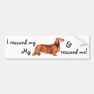 Adesivo Para Carro Resgate de Dachshund