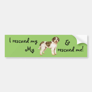 Adesivo Para Carro Resgate Lagotto