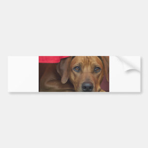 Adesivo Para Carro rhodesian-ridgeback