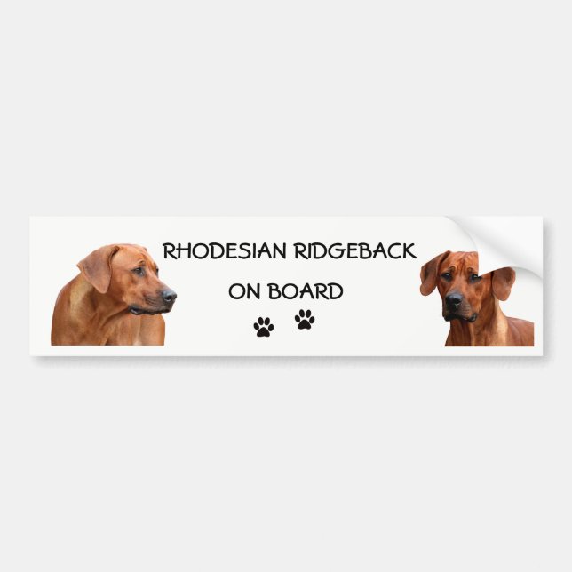Adesivo Para Carro Rhodesian Ridgeback bumpersticker (Frente)
