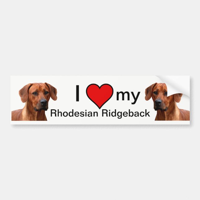 Adesivo Para Carro Rhodesian Ridgeback bumpersticker (Frente)