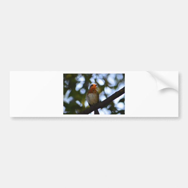 Adesivo Para Carro Robin (Frente)