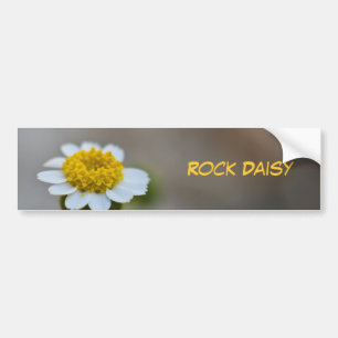 Adesivo Para Carro Rock Daisy