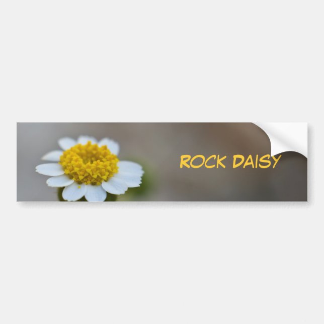 Adesivo Para Carro Rock Daisy (Frente)