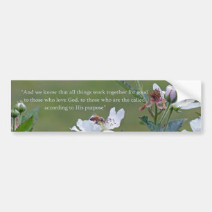 Adesivo Para Carro Romanos 8:28