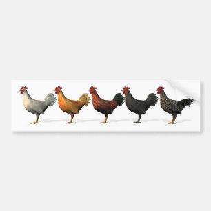 Adesivo Para Carro Roosters Coloridos
