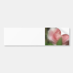 Adesivo Para Carro Rosa